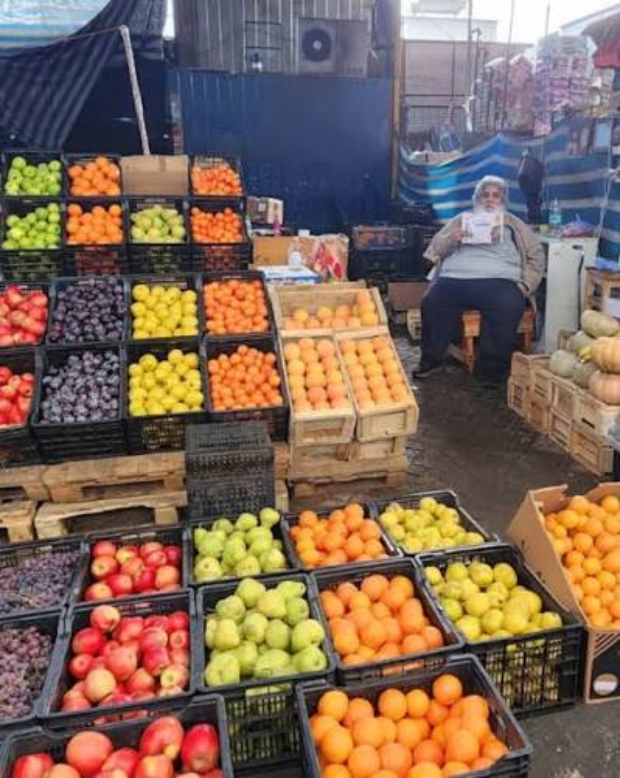 Frutas exhibidas en cajones en la bodega